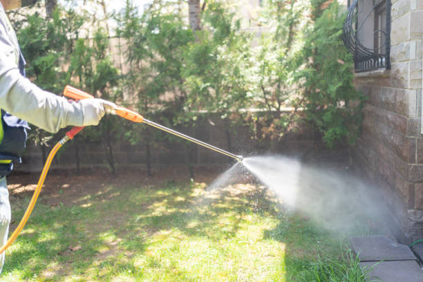 Wasp Removal Services in Ballenger Creek, MD